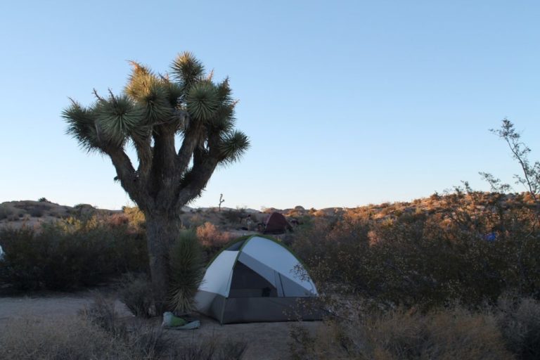 50+ Amazing Spots for Camping in Southern California No Back Home