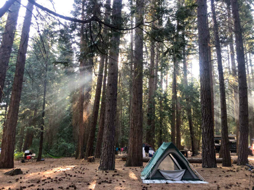 Kings Canyon Camping Advice You Need To Know No Back Home