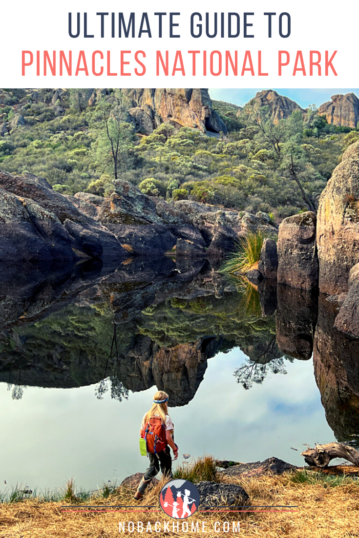 Ultimate Guide to Pinnacles National Park