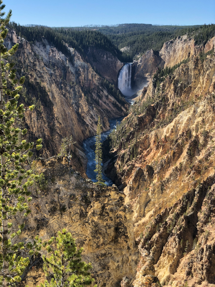 plan my trip to yellowstone